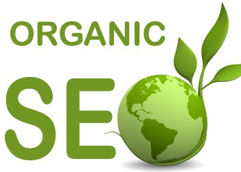 Organic Seo Marketing - The Facts
